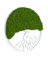 Strom života Lišajník