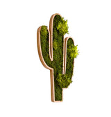 machová dekorácia kaktus flat moss machový obraz