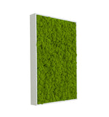 Hranatý machový obraz Lišajník