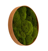 Machový obraz kruh Siberian