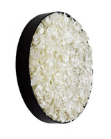 Kruhový obraz Hydrangea