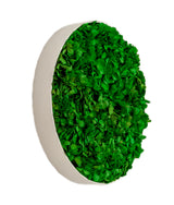 Kruhový obraz Hydrangea