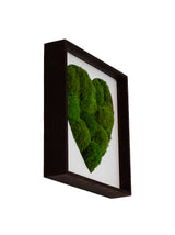 machové srdce bolmoss v ráme machová dekorácia machový obraz