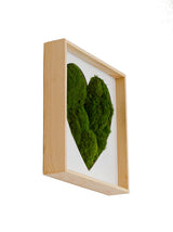 machové srdce bolmoss v ráme machová dekorácia machový obraz