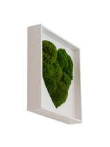 machové srdce bolmoss v ráme machová dekorácia machový obraz