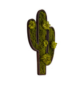 machová dekorácia kaktus flat moss machový obraz